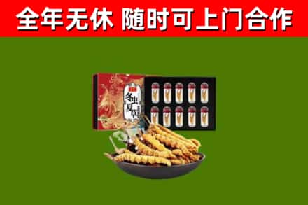 湛江烟酒回收冬虫夏草礼盒.jpg